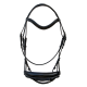 Dressage Briddle - RS1500